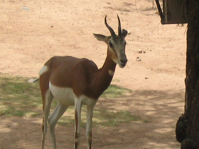 618x457 pixels (151K)